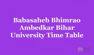 Babasaheb Bhimrao Ambedkar Bihar University Time Table for 2019 of B.Ed | M.Ed for 1st, 2nd, 3rd year