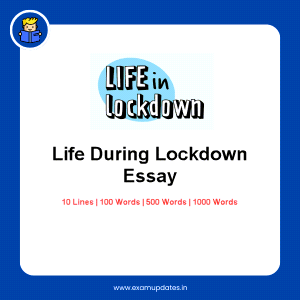 Life During Lockdown Essay